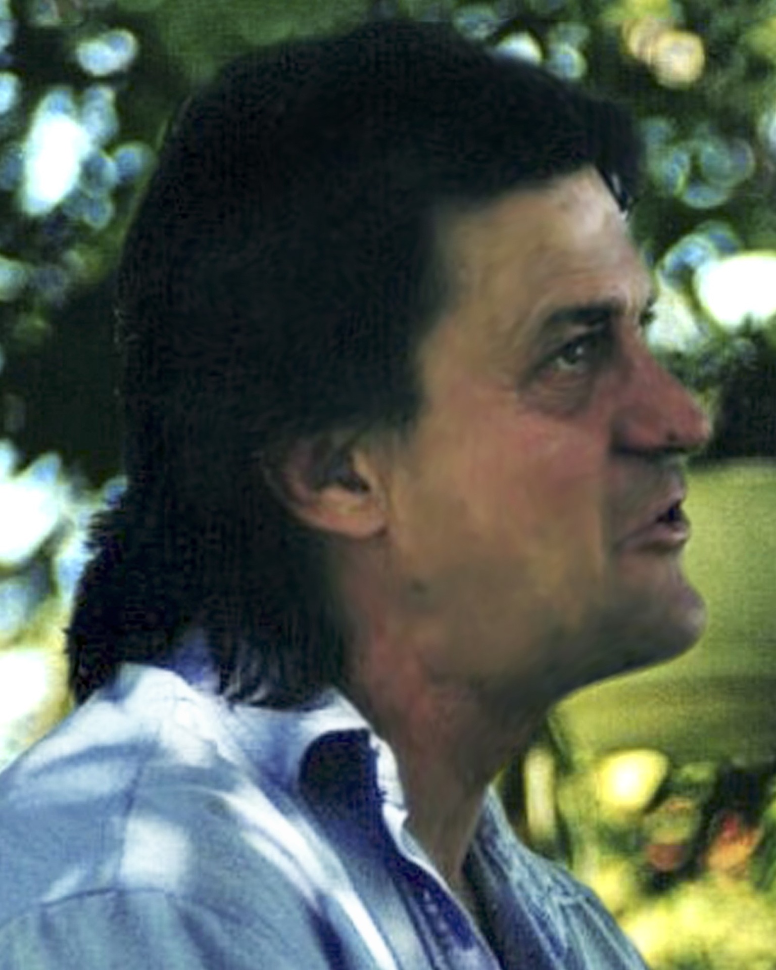 Bruno Boily