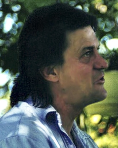 Bruno Boily