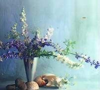 Brigitte Larouche