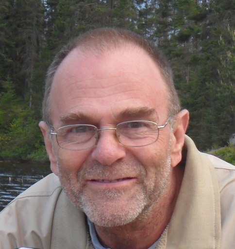 M. Michel LAVOIE